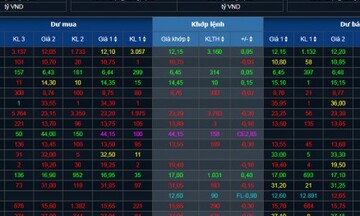 Chứng khoán hôm nay 31/1/2024: Nhóm năng lượng phục hồi tích cực