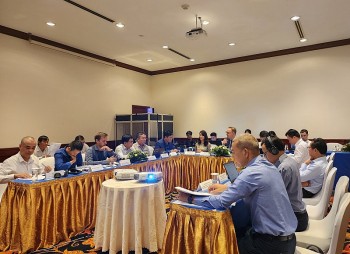 Những phát hiện chính từ hội thảo tham vấn về kết quả đánh giá kịch bản Net-Zero