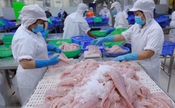 Xuất khẩu nông, lâm, thủy sản 8 tháng đầu năm 2023 giảm 9,5%