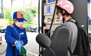 Giá xăng dầu hôm nay ngày 30/8/2023: Giá dầu thế giới bật tăng trở lại