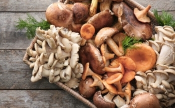Ăn nấm có lợi và hại cho sức khỏe như thế nào?