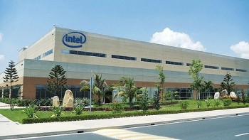 Điểm danh những 