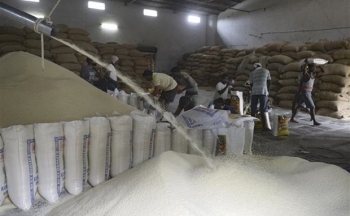 Ấn Độ quyết định cho phép xuất khẩu gạo sang Singapore