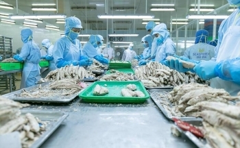 Xuất khẩu cá ngừ sang thị trường Hàn Quốc tăng mạnh