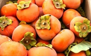 Những lợi ích và hạn chế khi ăn quả hồng giòn