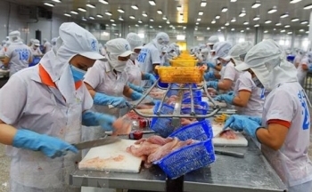 Đâu là yếu tố ảnh hưởng đến sản xuất và xuất khẩu cá tra Việt Nam?