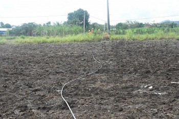 Phú Yên: Thông tin về vụ tai nạn lao động khiến 1 công nhân ngành điện tử vong