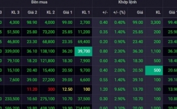 Giá dầu leo thang, cổ phiếu dầu khí xanh ngát
