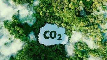 Giải bài toán vốn để phát triển thị trường tín chỉ carbon cho TP. Hồ Chí Minh