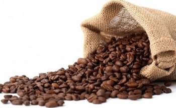 Giá cà phê bất ngờ giảm sâu