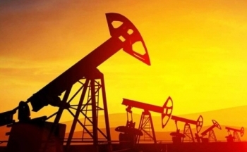 Giá xăng dầu hôm nay ngày 9/9/2023: Giá dầu Brent, dầu WTI quay lại với tín hiệu tích cực