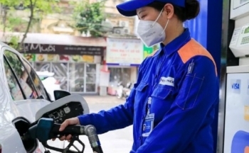 Giá xăng dầu hôm nay ngày 10/9/2023: Giá dầu Brent, dầu WTI lập kỷ lục