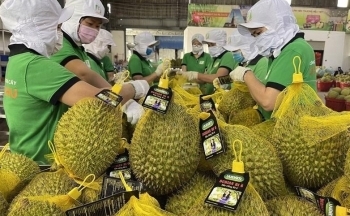 Kim ngạch xuất nhập khẩu Việt Nam – Trung Quốc vượt 100 tỷ USD