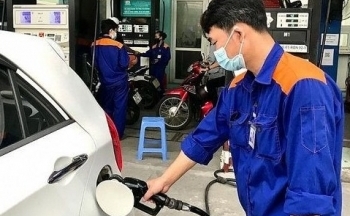 Giá xăng dầu hôm nay ngày 11/9/2023: Giá dầu Brent, dầu WTI tiếp đà tăng