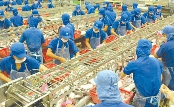 Thêm cơ hội xuất khẩu cá tra sang Mỹ