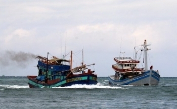 Dự báo thời tiết biển hôm nay 5/11/2023: Có mưa rào và dông trên biển, vịnh Bắc Bộ gió giật mạnh