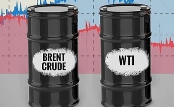 Giá xăng dầu hôm nay ngày 14/9/2023: Giá dầu WTI, dầu Brent tiếp tục khởi sắc
