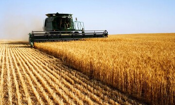 Giá kim loại quý nối dài đà tăng, nông sản diễn biến trái chiều