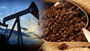 Thị trường hàng hóa hôm nay ngày 18/9/2023: Giá dầu lên mức đỉnh 10 tháng, kim loại đồng loạt tăng giá