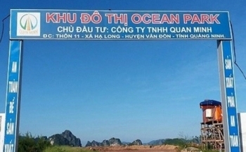 Những doanh nghiệp 
