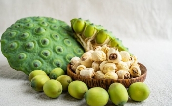 Lợi ích vàng của hạt sen