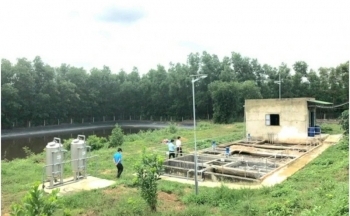 Hơn 300 cơ sở chăn nuôi chưa có thủ tục môi trường; 7 tàu đánh cá khai thác sai quy định