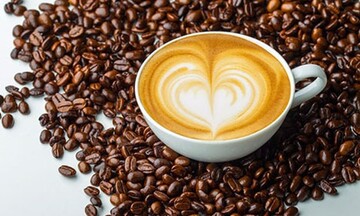 Giá cà phê mới nhất ngày 20/9/2023: Thị trường cà phê trong nước giảm nhẹ