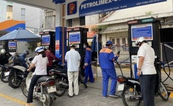 Giá xăng dầu hôm nay ngày 21/9/2023: Giá dầu WTI, dầu Brent giảm nhẹ