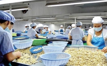 Xuất khẩu điều kỳ vọng có thể