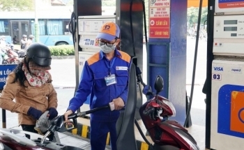 Giá xăng dầu hôm nay ngày 23/9/2023: Giá dầu WTI, dầu Brent tăng giảm trái chiều