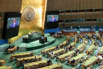 Thủ tướng Phạm Minh Chính: 