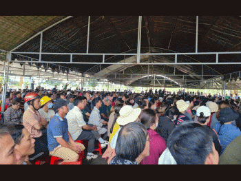 Kiến nghị Thanh tra Chính phủ thanh tra toàn diện Công ty CP cà phê Thắng Lợi