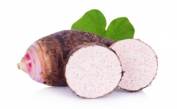 Vì sao khoai môn được ví như “củ trường thọ”?