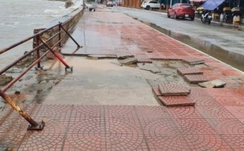 Hải Phòng: Xử lý dứt điểm các trường hợp vi phạm đê điều trong tháng 10/2023