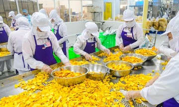 Nhiều ngành xuất khẩu tỷ USD dần hồi phục