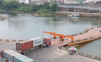 Quảng Ninh: Không còn tình trạng xuất khẩu tôm hùm ùn ứ ở Móng Cái