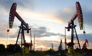 Thị trường dầu phản ứng nhanh sau động thái của Nga