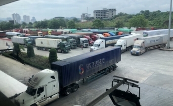 Quảng Ninh: Kim ngạch xuất khẩu trong 9 tháng ước đạt 3,1 tỷ USD