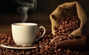 Giá cà phê mới nhất ngày 27/9/2023: Cà phê trong nước ngược chiều giá thế giới
