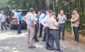 Vụ thảm nhựa đường Sông Nhạn – Dầu Giây khi trời mưa: Các bên liên quan nói gì?