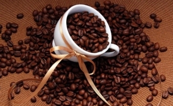 Giá cà phê mới nhất ngày 29/9/2023: Thị trường trong nước tăng 300 đồng/kg