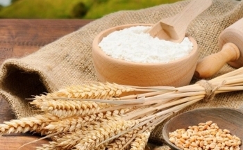 Giá lúa mì lao dốc, ghi nhận phiên giảm mạnh nhất kể từ tháng 3/2022