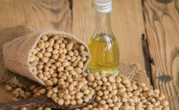 Giá đậu tương giảm mạnh sau báo cáo Tồn kho Ngũ cốc quý