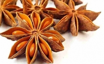 Hai mặt hàng xuất khẩu sang Canada tăng đột biến từ sau Hiệp định CPTPP