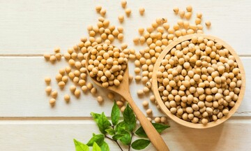 Nhóm hàng đậu tương ghi nhận tuần giảm mạnh nhất trong 5 tháng