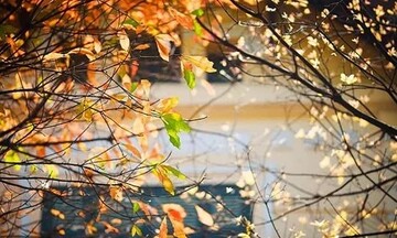 Thời tiết chiều nay 3/10/2023: Miền Bắc nắng hanh, Nam Bộ tiếp tục mưa lớn