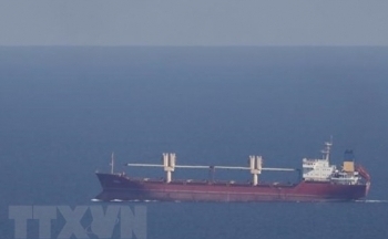 Ukraine và EU thảo luận về hành lang xuất khẩu ngũ cốc thay thế