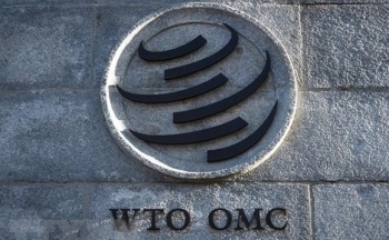 Khủng hoảng tại WTO và cảnh báo về sự phân mảnh của kinh tế toàn cầu