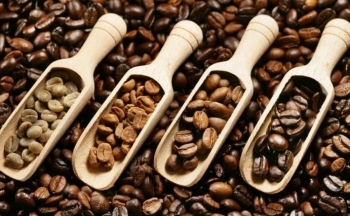 Giá cà phê mới nhất ngày 4/10/2023: Thị trường trong nước giảm 100 đồng/kg