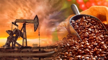 Thị trường hàng hóa hôm nay ngày 6/10/2023: Giá dầu tiếp tục giảm mạnh, giá cà phê giảm